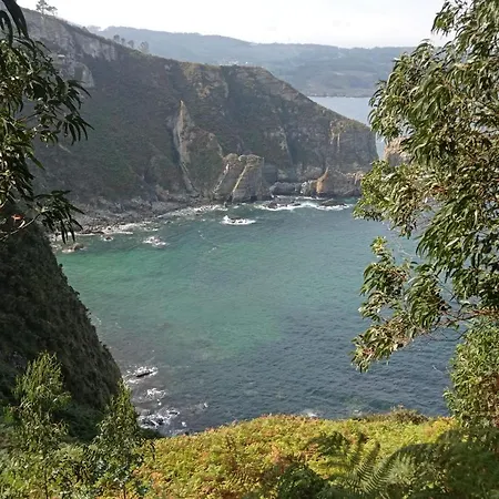 Duerming Family 4 * Viveiro